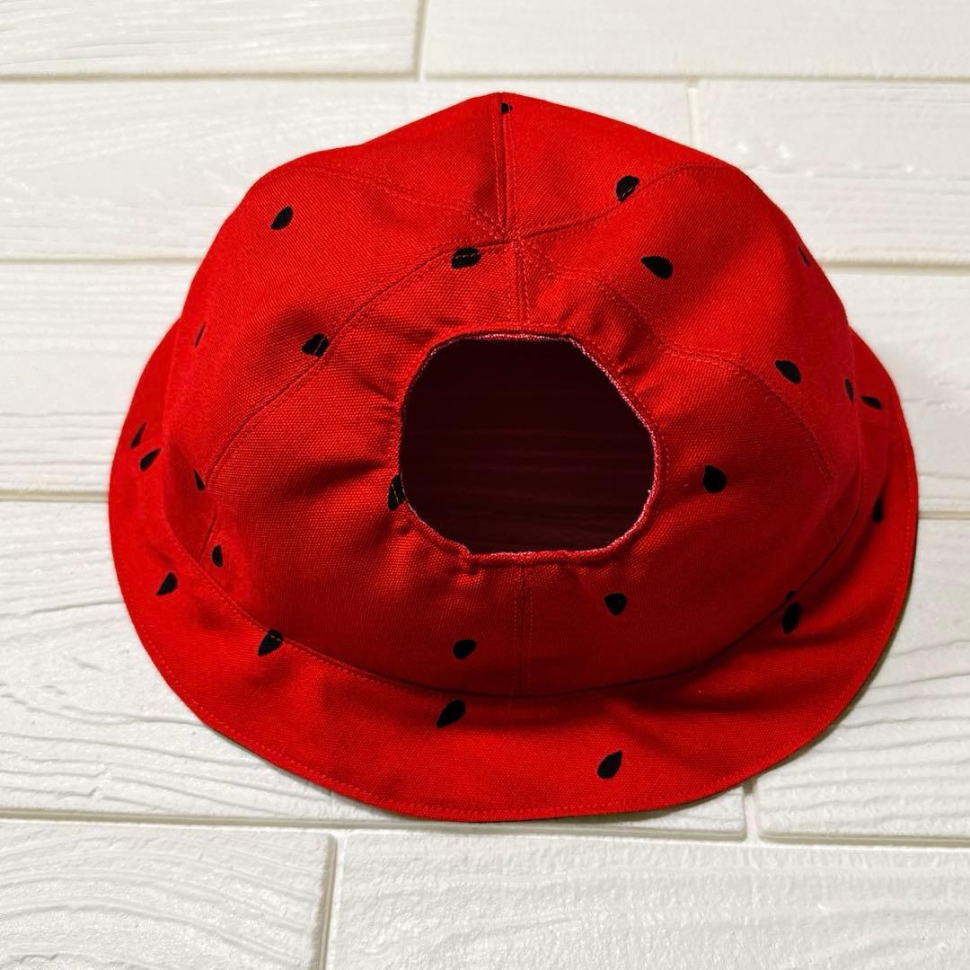 ラボット LOVOT 服 あい