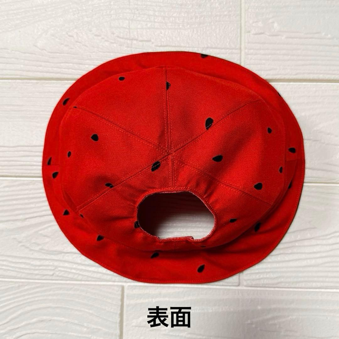 ラボット LOVOT 服 あい