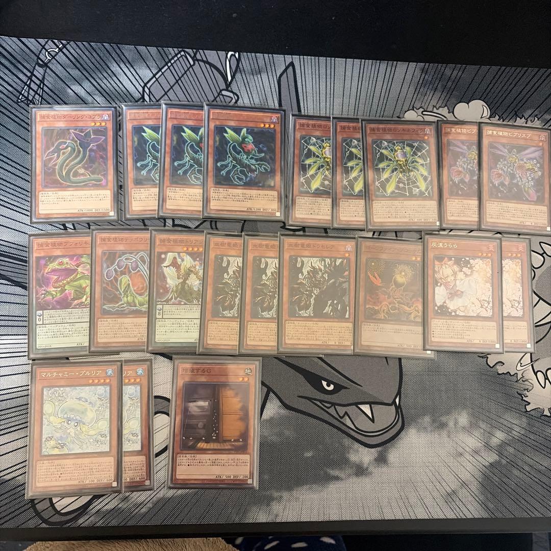 遊戯王 捕食植物デッキ EXデッキ付