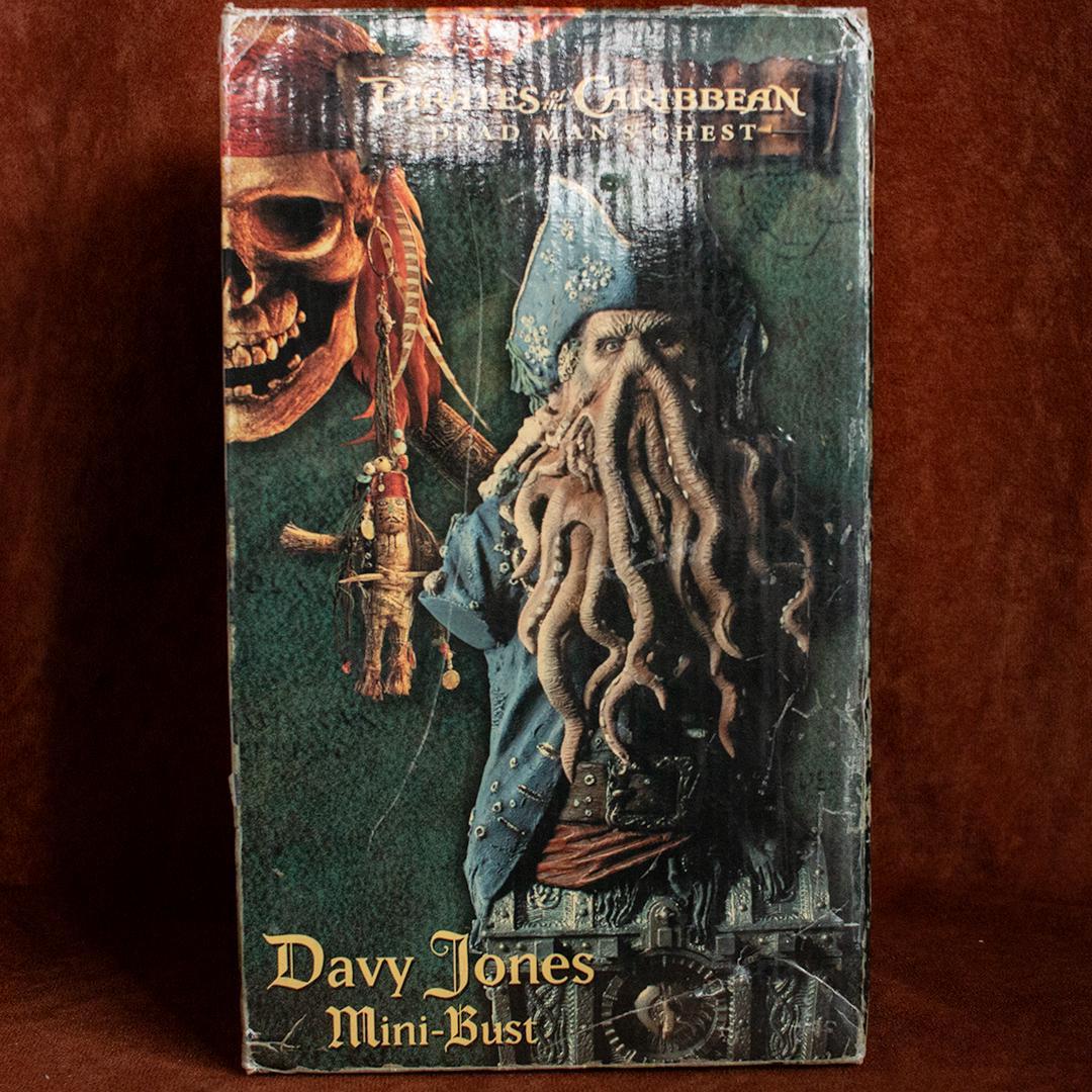 日*4様 ネカ　デイヴィ・ジョーンズ　ミニバスト