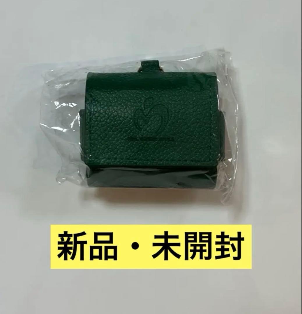 Mrs.GREENAPPLE ワイヤレスイヤホンケース