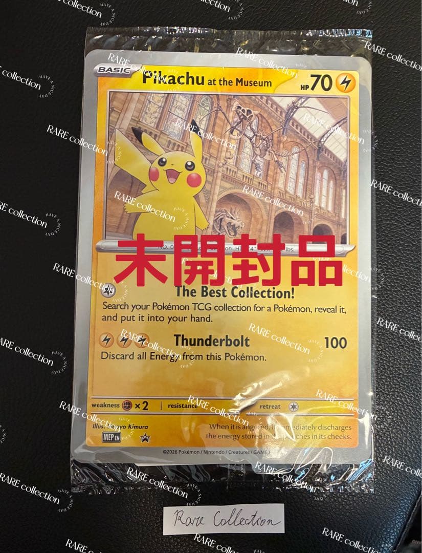 Pikachu at the Museum ピカチュウ ロンドン自然史博物館30