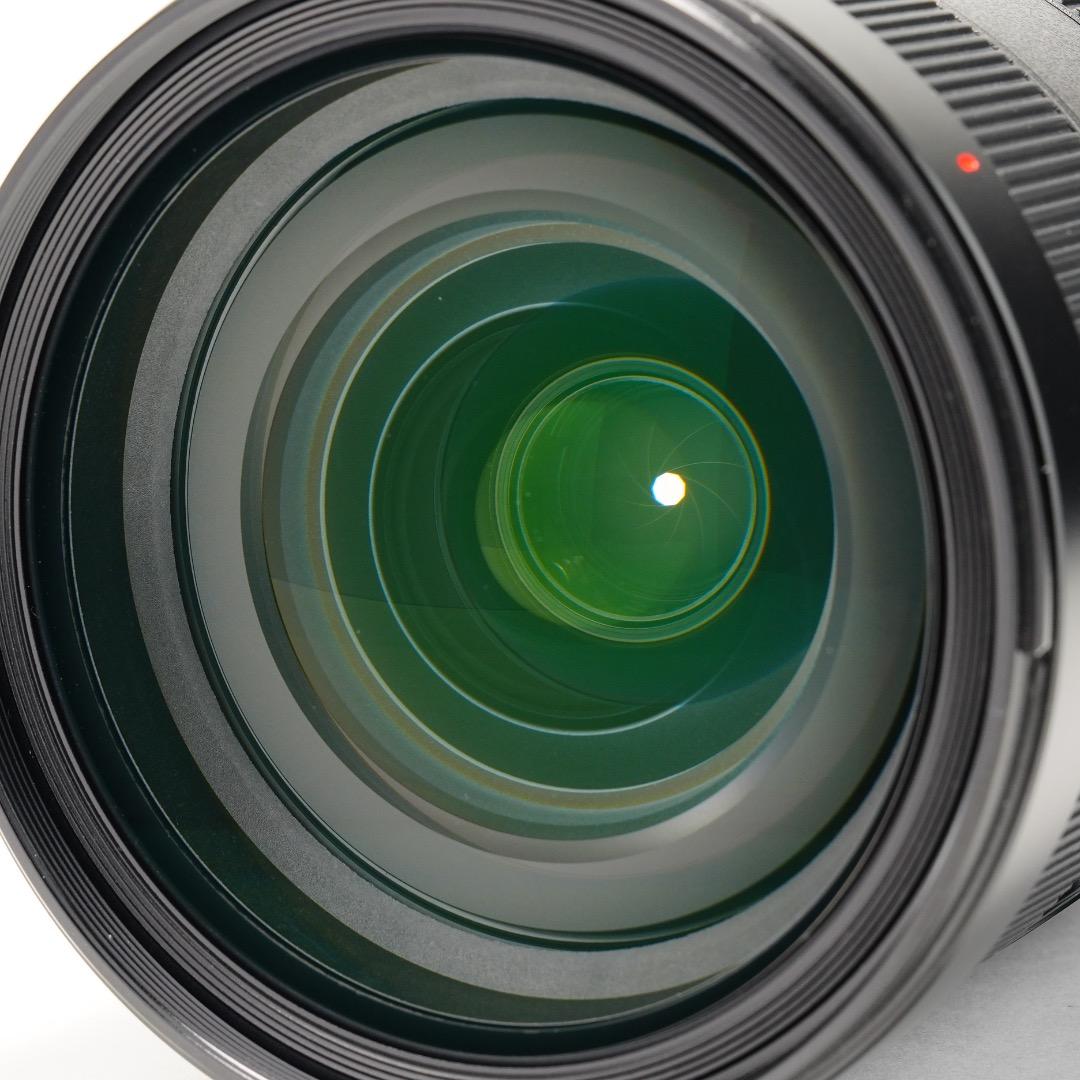 【極美品】SONY SEL2470GM Gマスター 標準ズーム F2.8