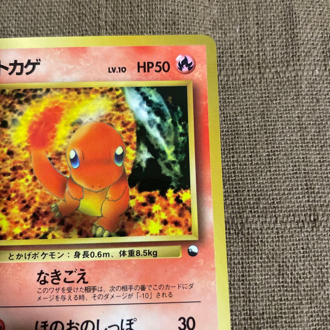 ポケモン　旧裏　フシギダネ　ヒトカゲ 拡張シート